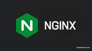 NGINX لوگو