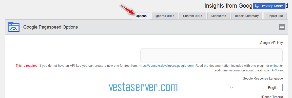زبانه options فزونه Google Pagespeed Insights